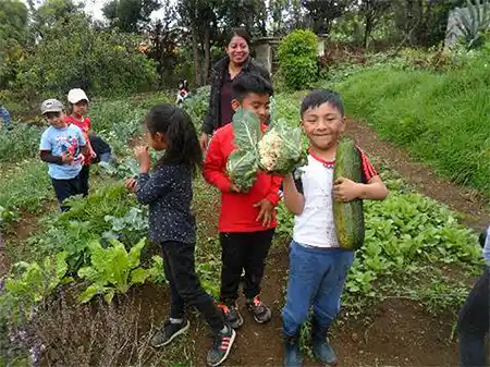 Rundbrief Le K’at & Itzamna